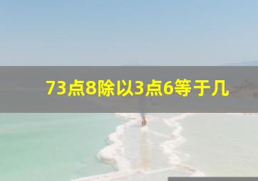 73点8除以3点6等于几