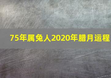 75年属兔人2020年腊月运程