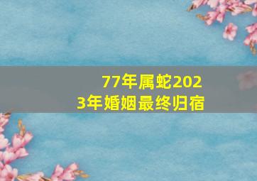 77年属蛇2023年婚姻最终归宿