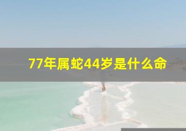 77年属蛇44岁是什么命