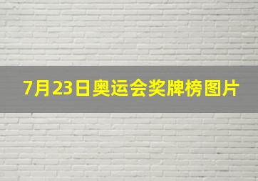 7月23日奥运会奖牌榜图片