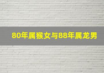 80年属猴女与88年属龙男