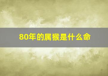 80年的属猴是什么命