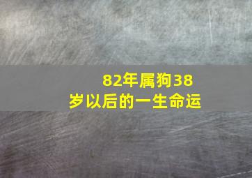 82年属狗38岁以后的一生命运