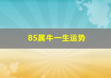 85属牛一生运势