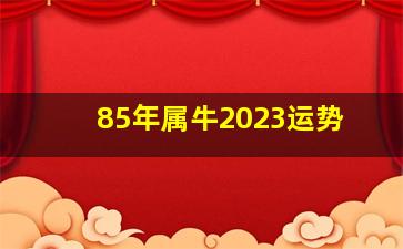 85年属牛2023运势