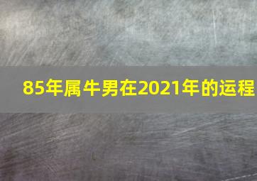 85年属牛男在2021年的运程