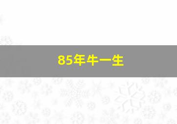 85年牛一生