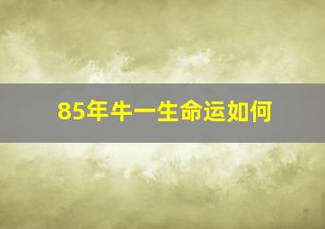 85年牛一生命运如何