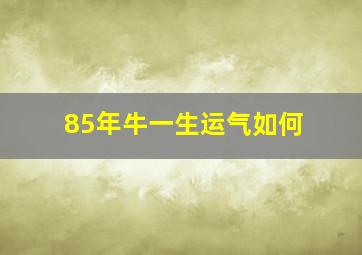 85年牛一生运气如何