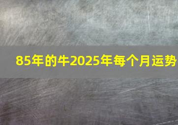 85年的牛2025年每个月运势