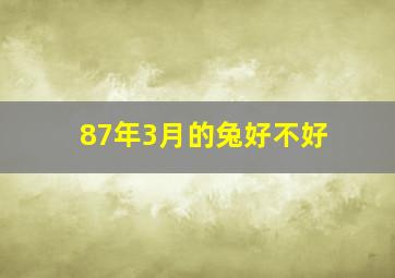 87年3月的兔好不好