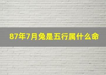 87年7月兔是五行属什么命