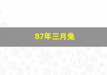 87年三月兔