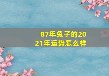 87年兔子的2021年运势怎么样