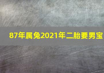 87年属兔2021年二胎要男宝