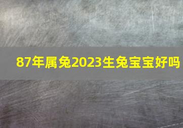 87年属兔2023生兔宝宝好吗