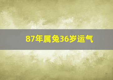 87年属兔36岁运气