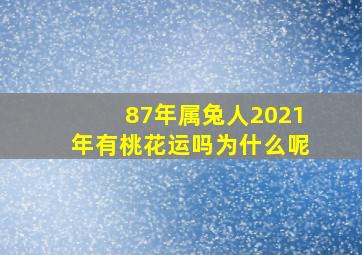 87年属兔人2021年有桃花运吗为什么呢