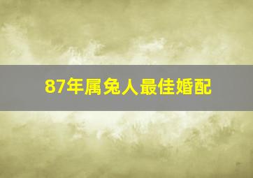 87年属兔人最佳婚配