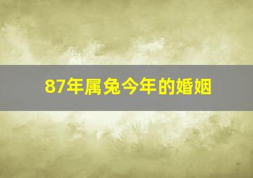 87年属兔今年的婚姻