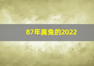 87年属兔的2022