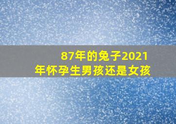 87年的兔子2021年怀孕生男孩还是女孩