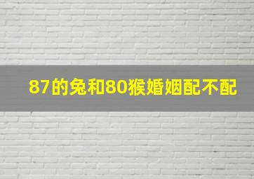 87的兔和80猴婚姻配不配