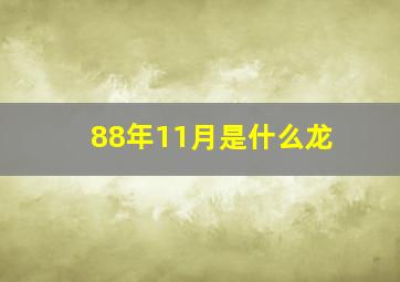 88年11月是什么龙