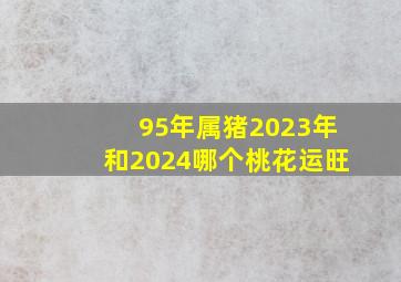 95年属猪2023年和2024哪个桃花运旺