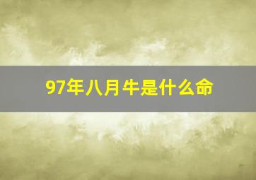 97年八月牛是什么命