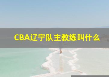 CBA辽宁队主教练叫什么