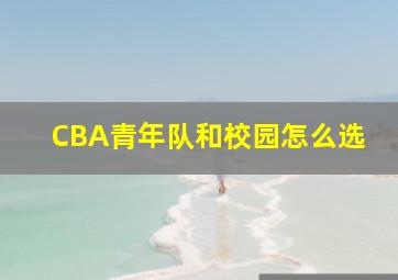 CBA青年队和校园怎么选