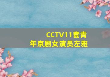 CCTV11套青年京剧女演员左雅