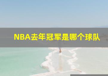 NBA去年冠军是哪个球队