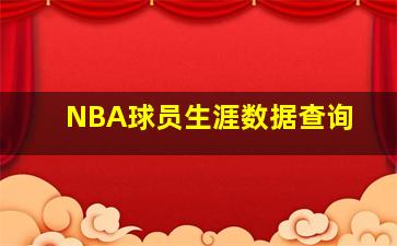 NBA球员生涯数据查询