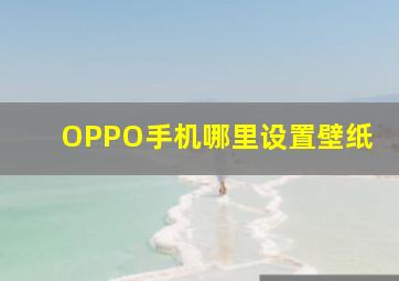 OPPO手机哪里设置壁纸