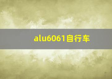 alu6061自行车