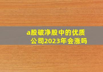 a股破净股中的优质公司2023年会涨吗