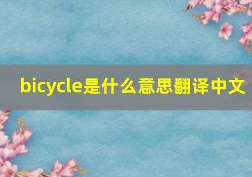 bicycle是什么意思翻译中文