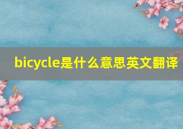 bicycle是什么意思英文翻译