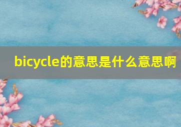 bicycle的意思是什么意思啊