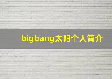 bigbang太阳个人简介