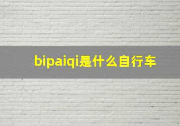 bipaiqi是什么自行车