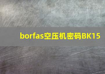 borfas空压机密码BK15