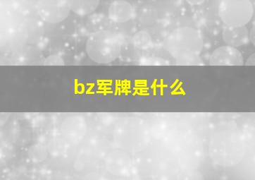 bz军牌是什么