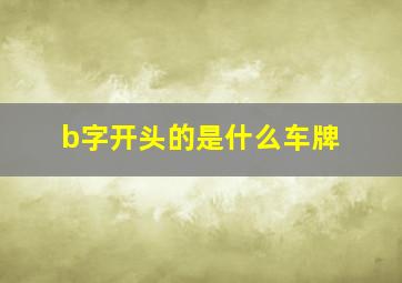 b字开头的是什么车牌