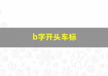 b字开头车标