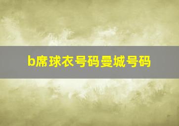 b席球衣号码曼城号码