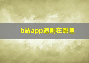 b站app追剧在哪里